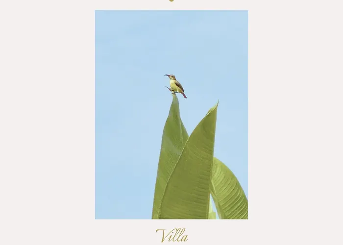 Hummingbird Villa