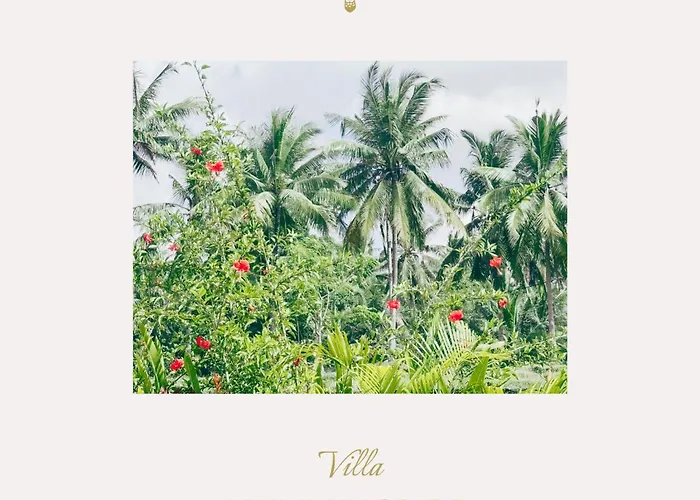 Villa Hummingbird *