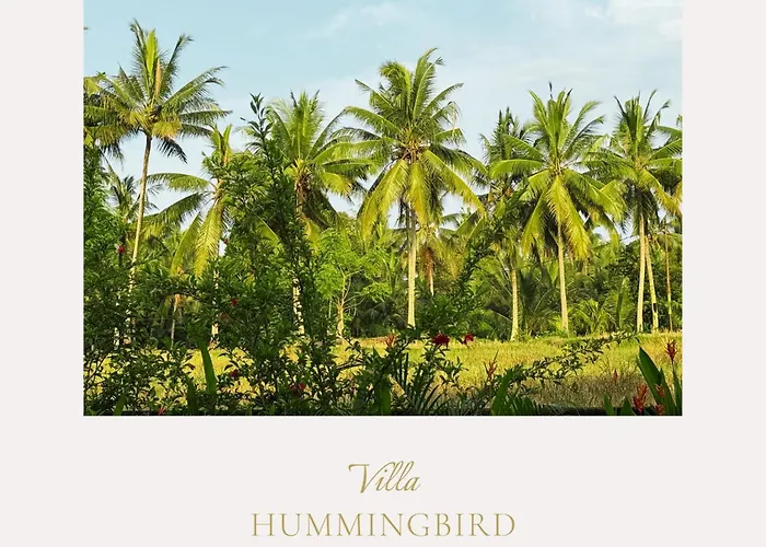 Villa Hummingbird Ubud