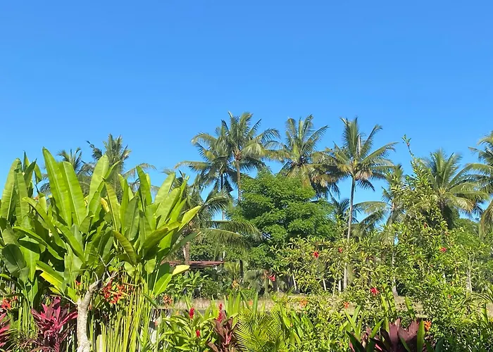 Villa Hummingbird