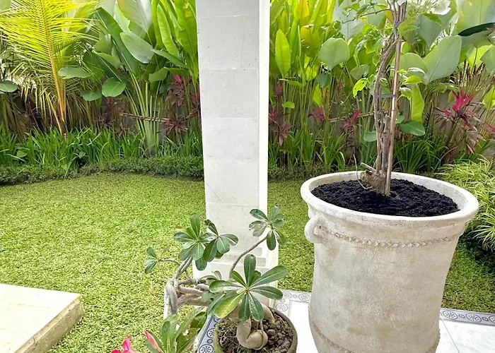 Hummingbird Ubud